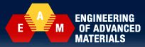 Cluster of Excellence Engineering of Advanced Materials